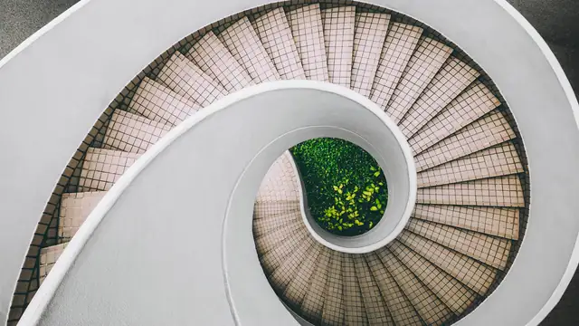 Digital maturity model for CxO decisions